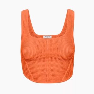 Babaton Sculpt Knit Bustier